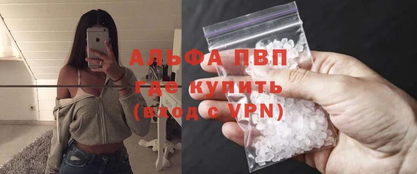 крисы Алзамай