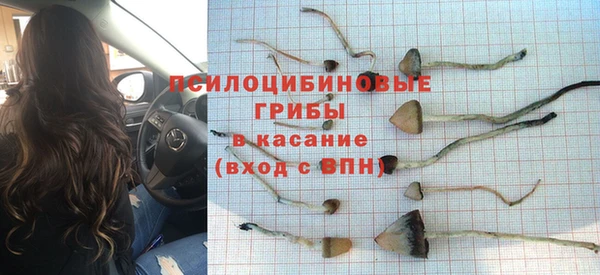 крисы Алзамай