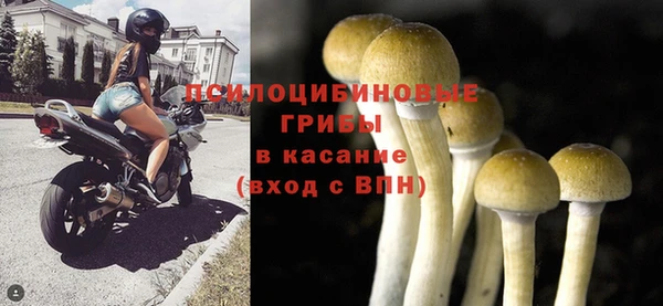 крисы Алзамай